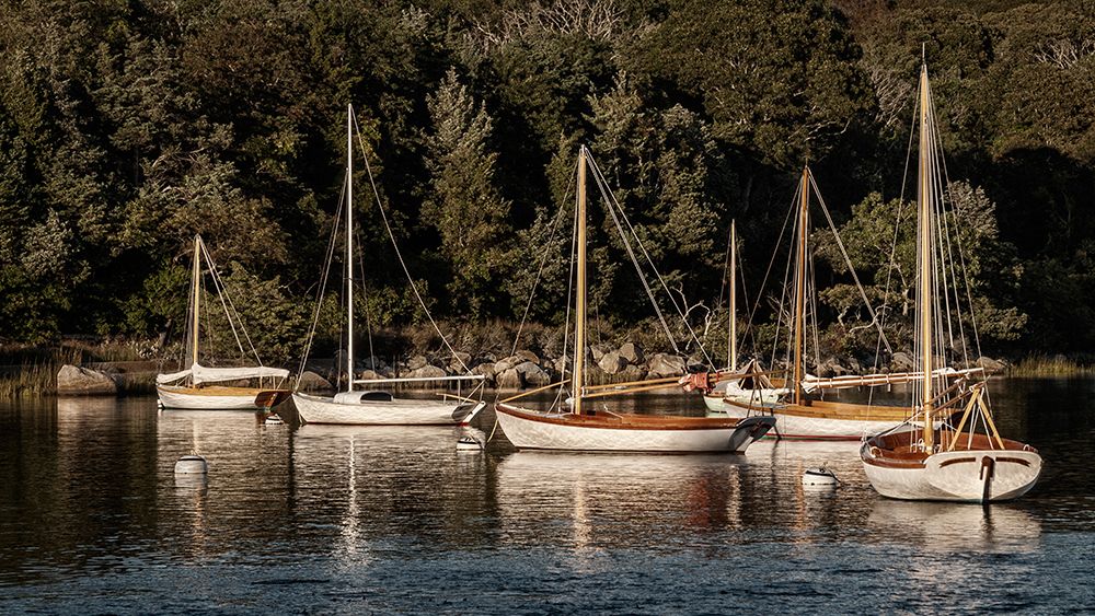 USA, Massachusetts, Cape Cod, Falmouth. Vintage sailboats moored in Quissett Harbor art print by Ann Collins for $57.95 CAD