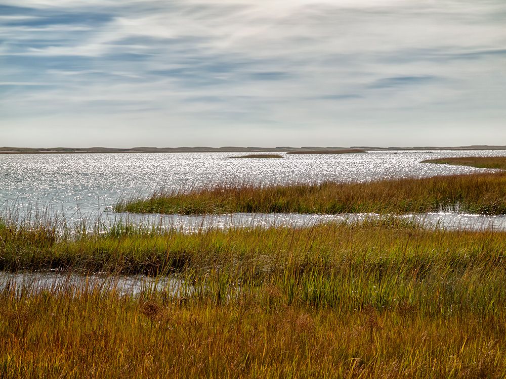 USA, Massachusetts, Cape Cod, Eastham. View of marsh from Fort Hill Rural Historic District art print by Ann Collins for $57.95 CAD