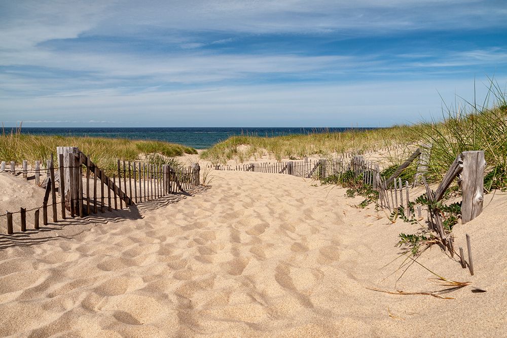 Massachusetts, Cape Cod, Provincetown. Fenced path to Race Point Beach, Cape Cod National Seashore art print by Ann Collins for $57.95 CAD