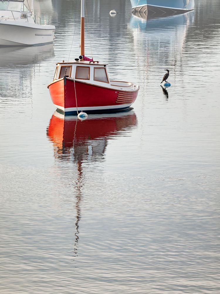USA, Massachusetts, Cape Cod, Harwich Port. Boats moored in Wychmere Harbor art print by Ann Collins for $57.95 CAD