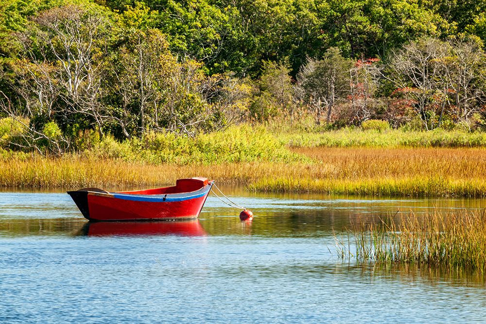 USA, Massachusetts, Cape Cod, West Harwich. A red dory moored in calm waters on the Herring River art print by Ann Collins for $57.95 CAD