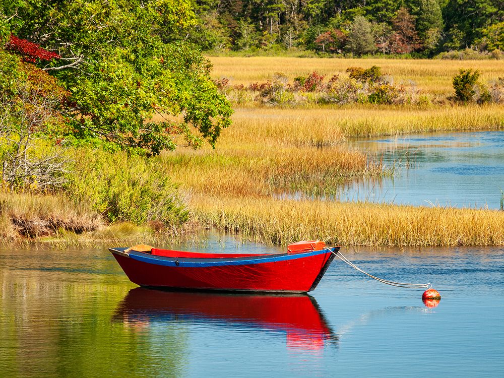 Massachusetts, Cape Cod, West Harwich. Calm water surrounds a red dory moored on the Herring River art print by Ann Collins for $57.95 CAD