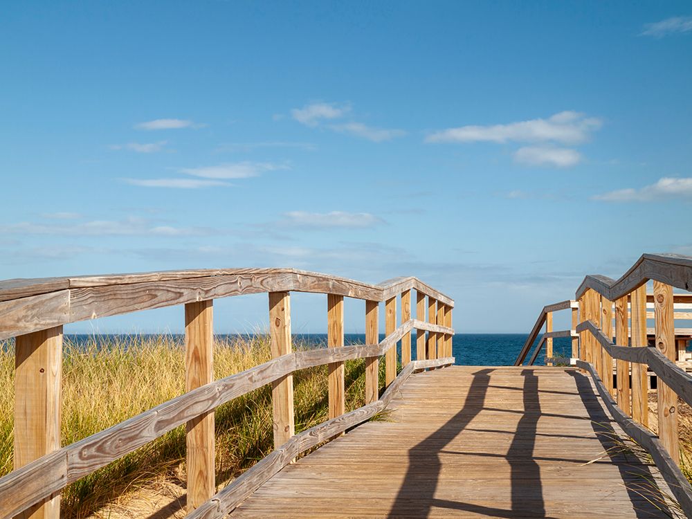 USA, Massachusetts, Newburyport. Parker River NWR, Boardwalk over dunes on Plum Island art print by Ann Collins for $57.95 CAD
