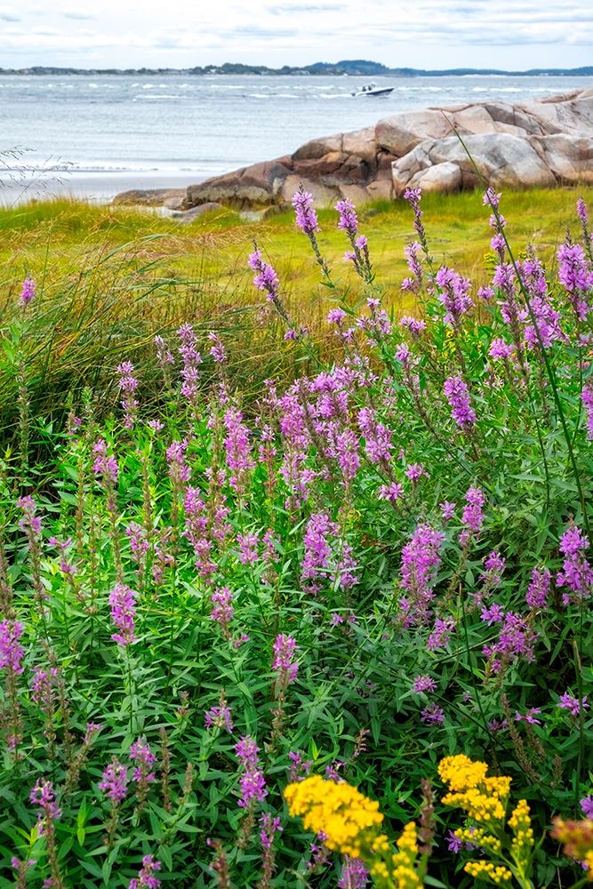 Ipswich Bay-Annisquam-Massachusetts-USA art print by Lisa S. Engelbrecht for $57.95 CAD