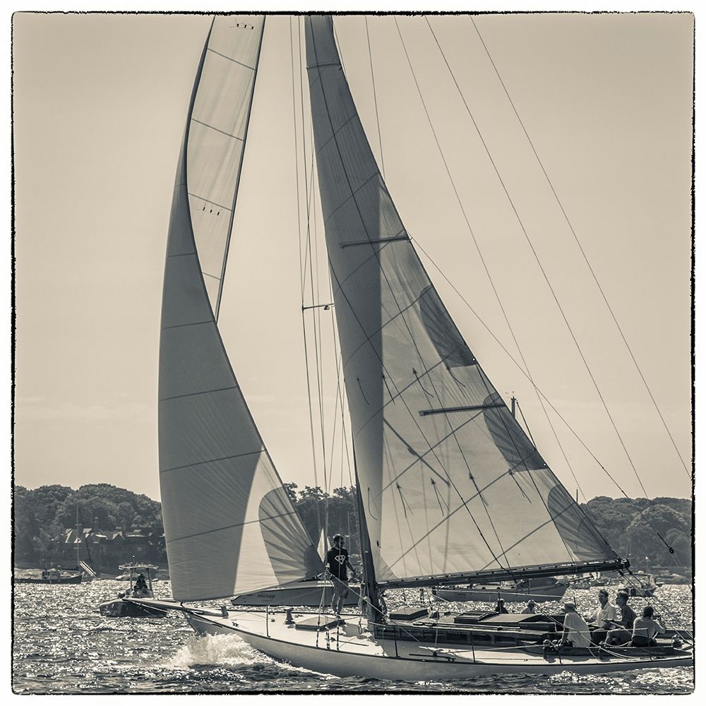 New England-Massachusetts-Cape Ann-Gloucester-Gloucester Schooner Festival-schooner parade of sail art print by Walter Bibikow for $57.95 CAD