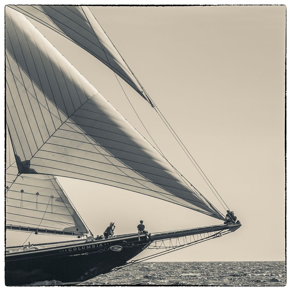 New England-Massachusetts-Cape Ann-Gloucester-Gloucester Schooner Festival-schooner parade of sail art print by Walter Bibikow for $57.95 CAD