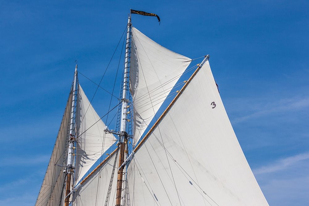 New England-Massachusetts-Cape Ann-Gloucester-Gloucester Schooner Festival-schooner sails art print by Walter Bibikow for $57.95 CAD