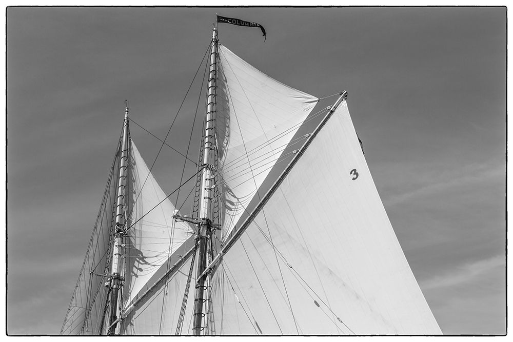 New England-Massachusetts-Cape Ann-Gloucester-Gloucester Schooner Festival-schooner sails art print by Walter Bibikow for $57.95 CAD