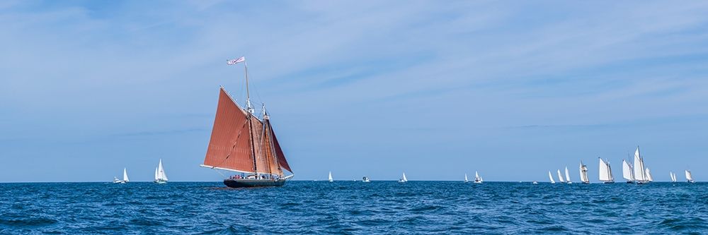 New England-Massachusetts-Cape Ann-Gloucester-Gloucester Schooner Festival-schooner parade of sail art print by Walter Bibikow for $57.95 CAD