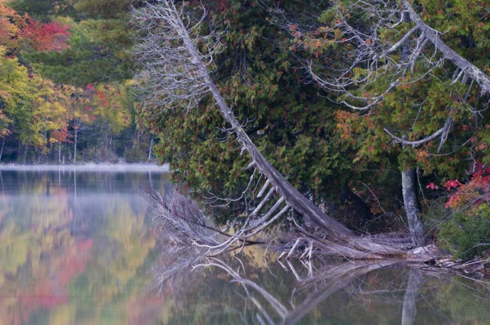 MI, Petes Lake reflects autumn foliage art print by Nancy Rotenberg for $57.95 CAD