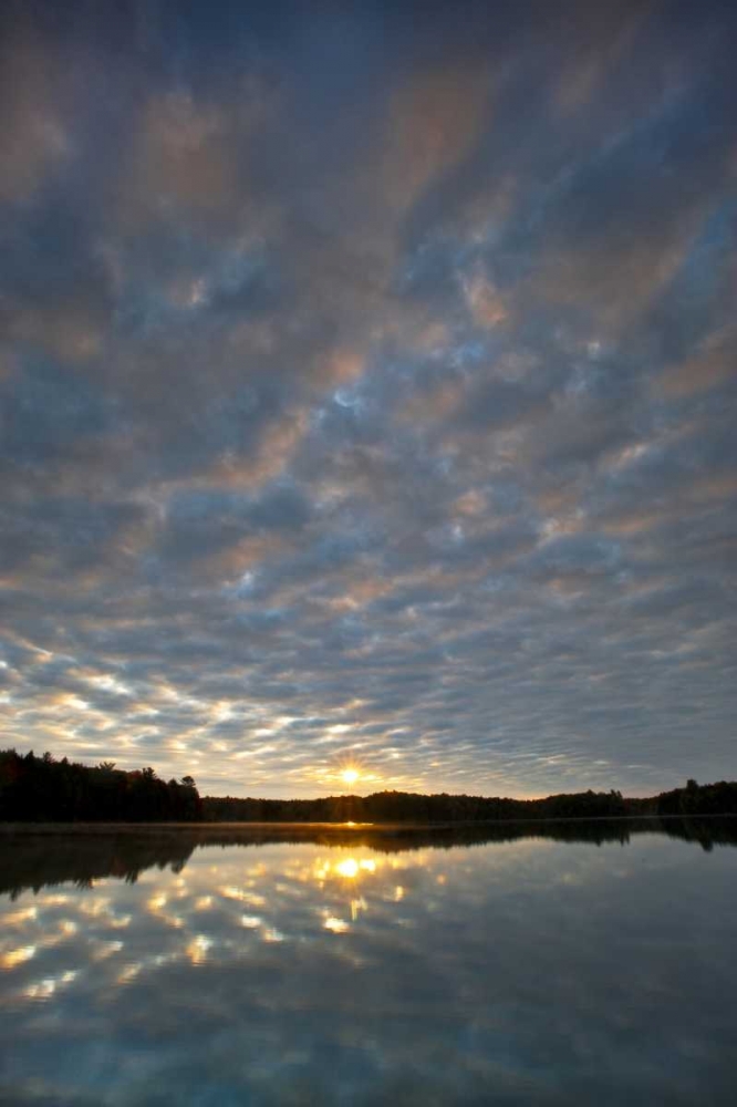 Michigan Sunrise at Petes Lake in autumn art print by Nancy Rotenberg for $57.95 CAD