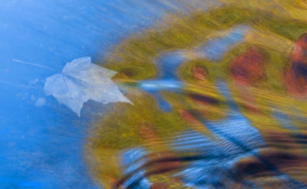 Michigan, Upper Peninsula Bond Falls reflections art print by Nancy Rotenberg for $57.95 CAD