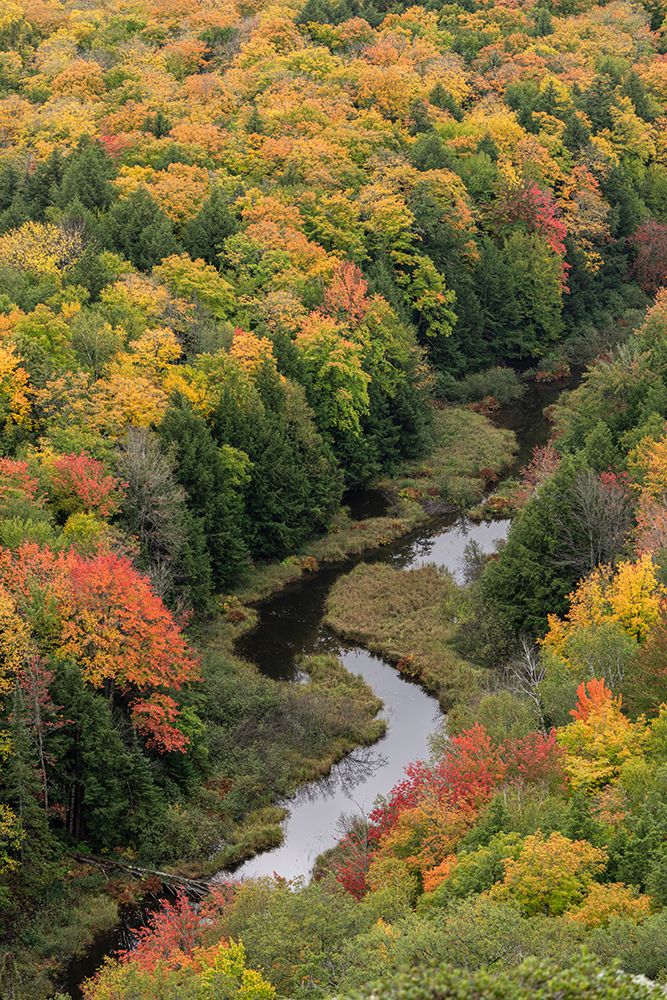 USA, Michigan, Ottawa National Forest. Lake of the Clouds and forest in autumn. art print by Jaynes Gallery for $57.95 CAD