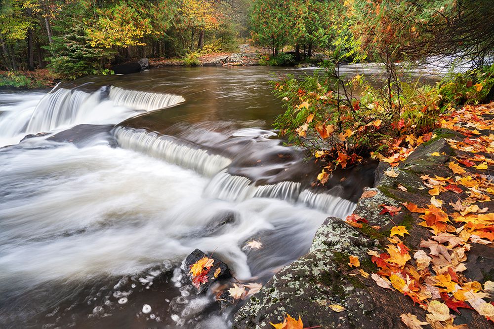 USA, Michigan, Ottawa National Forest. Fallen maple leaves and waterfalls on Ontonagon River. art print by Jaynes Gallery for $57.95 CAD