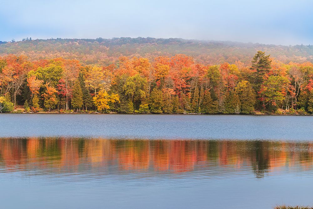 USA, Michigan, Ottawa National Forest. Maple tree forest reflects in lake. art print by Jaynes Gallery for $57.95 CAD