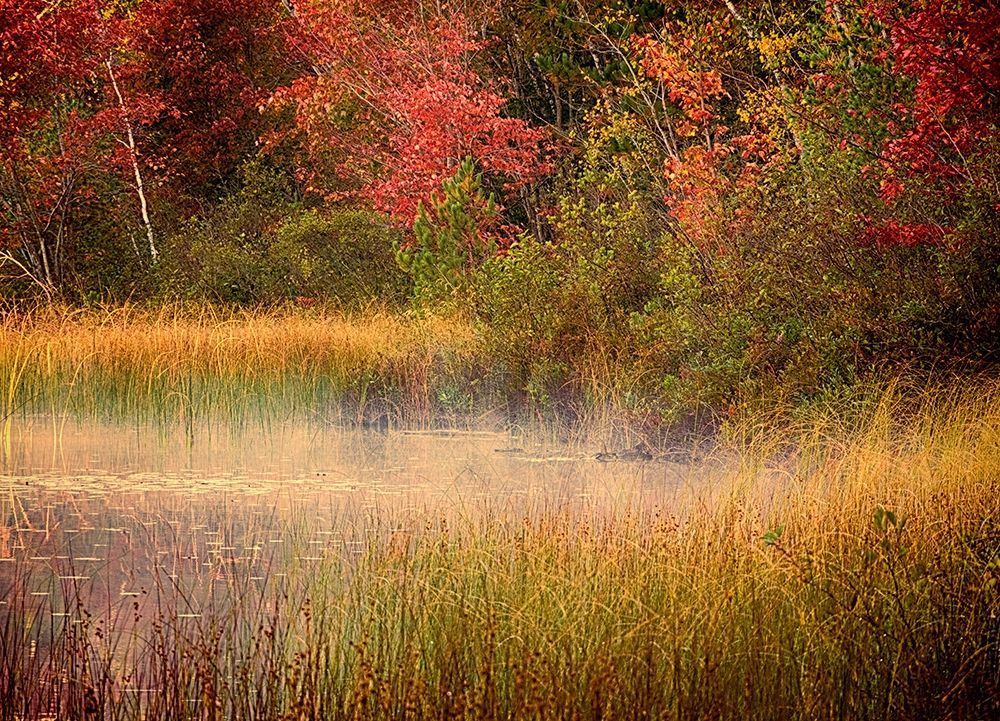 US-Michigan-Upper Peninsula Thornton Lake art print by Julie Eggers for $57.95 CAD