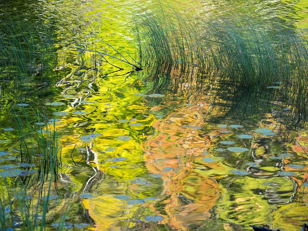 US-Michigan-Upper Peninsula Reflections of fall colors in Council Lake art print by Julie Eggers for $57.95 CAD