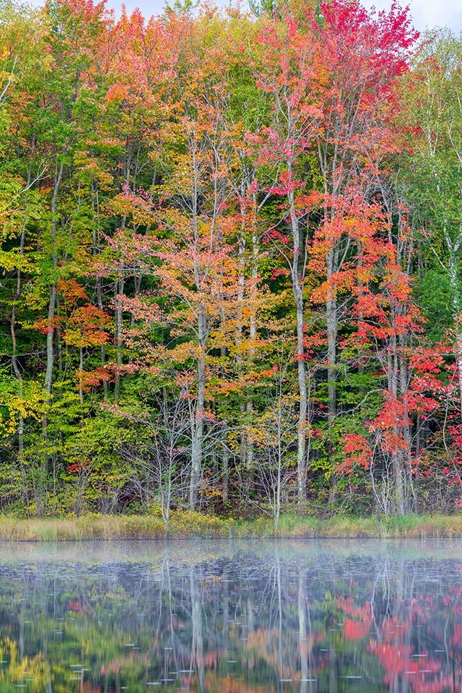 Thornton Lake in fall color-Alger County-Michigan art print by Richard and Susan Day for $57.95 CAD