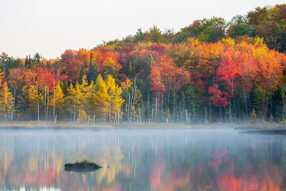 Council Lake in fall color-Alger County-Michigan art print by Richard and Susan Day for $57.95 CAD