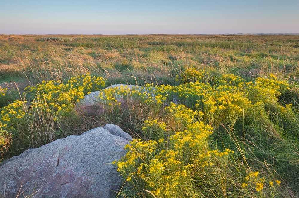 Touch the Sky Prairie southwest-Minnesota art print by Alan Majchrowicz for $57.95 CAD