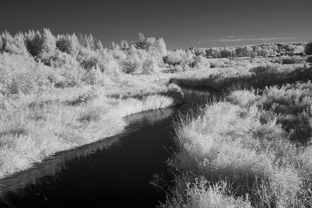 USA-Minnesota-Mississippi River Headwaters region-Mississippi River art print by Peter Hawkins for $57.95 CAD