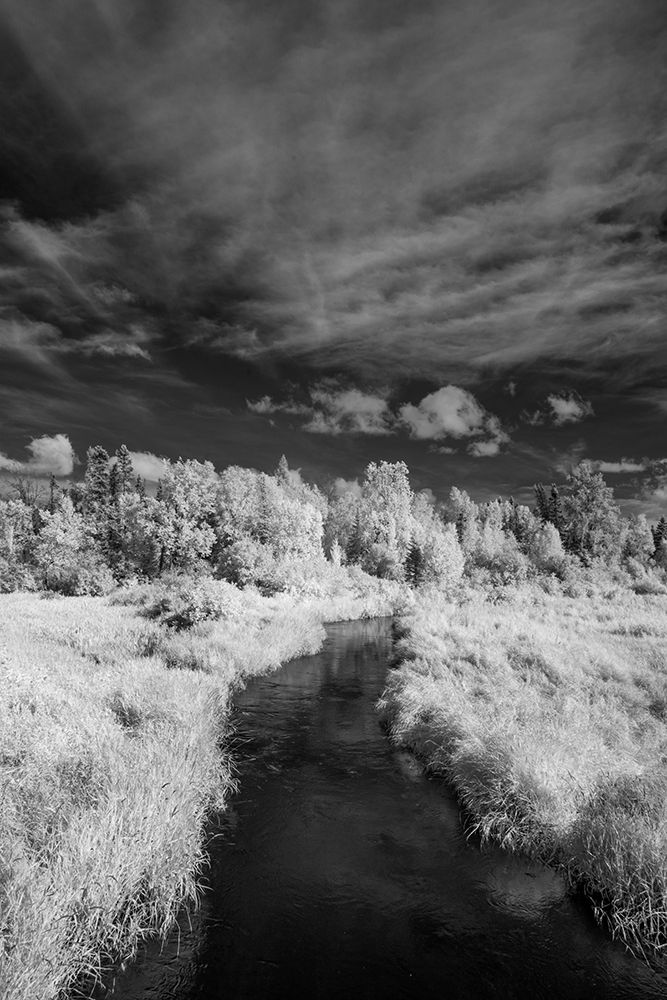 USA-Minnesota-Mississippi River Headwaters region-Mississippi River art print by Peter Hawkins for $57.95 CAD