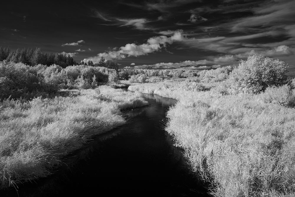USA-Minnesota-Mississippi River Headwaters region-Mississippi River art print by Peter Hawkins for $57.95 CAD