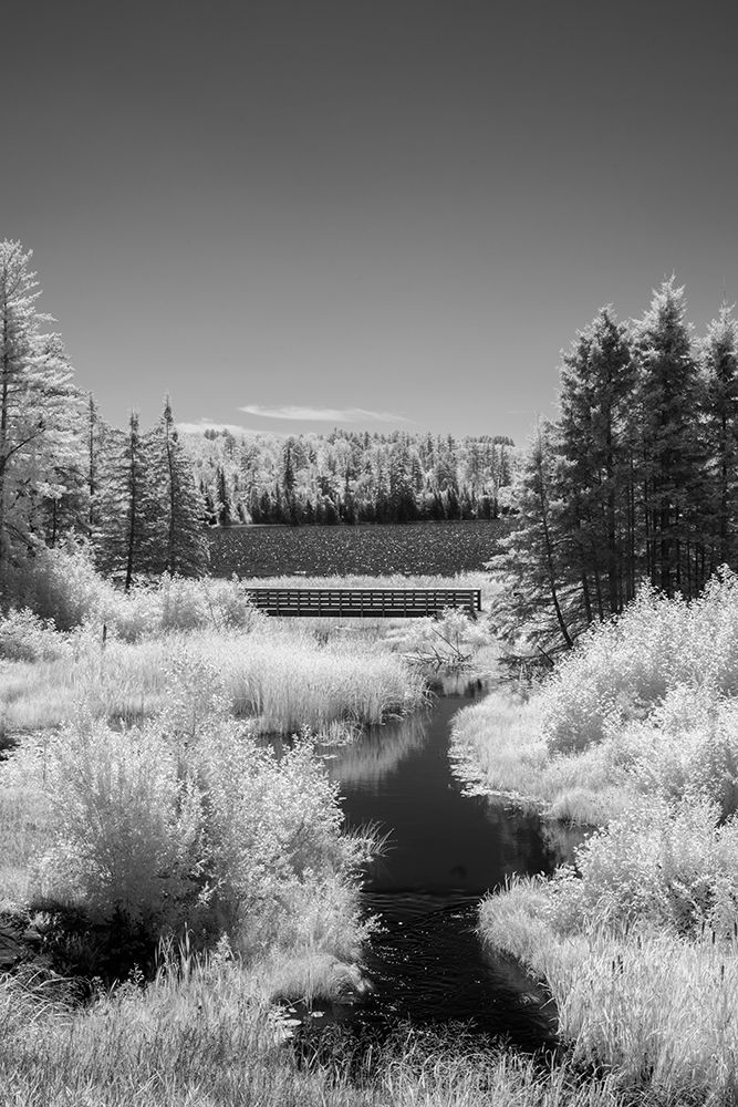 USA-Minnesota-La Salle State Recreation Area art print by Peter Hawkins for $57.95 CAD