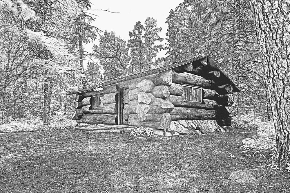 USA-Minnesota-Itasca State Park art print by Peter Hawkins for $57.95 CAD
