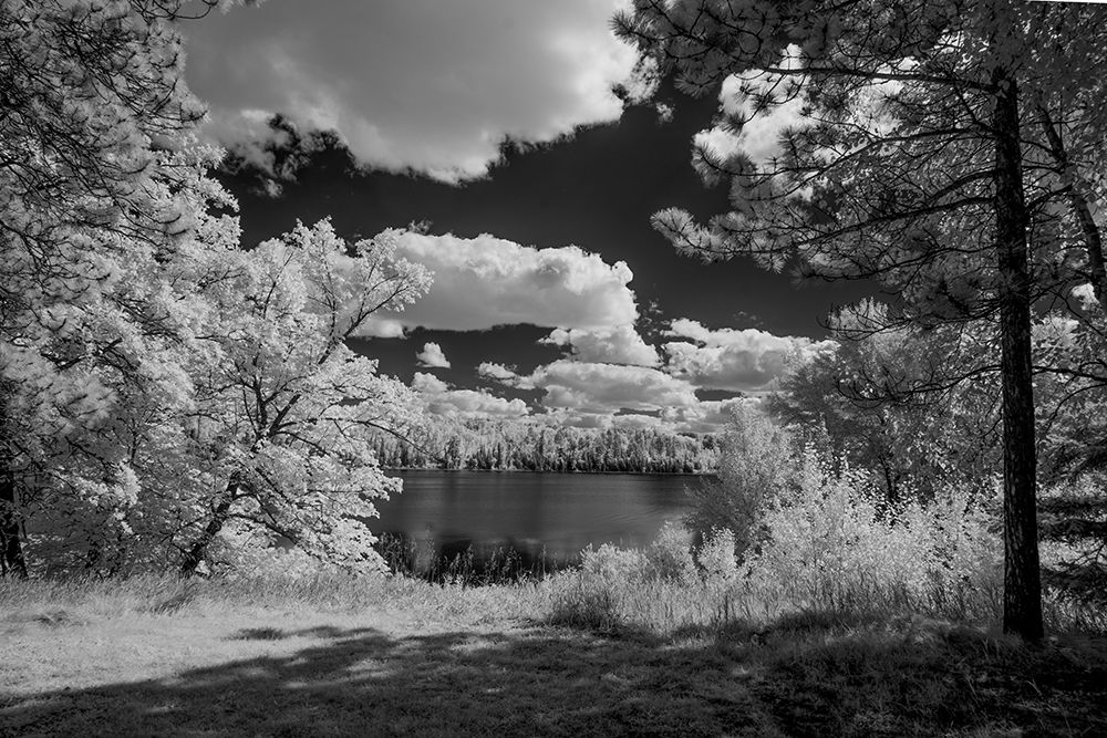 USA-Minnesota-La Salle State Recreation area art print by Peter Hawkins for $57.95 CAD