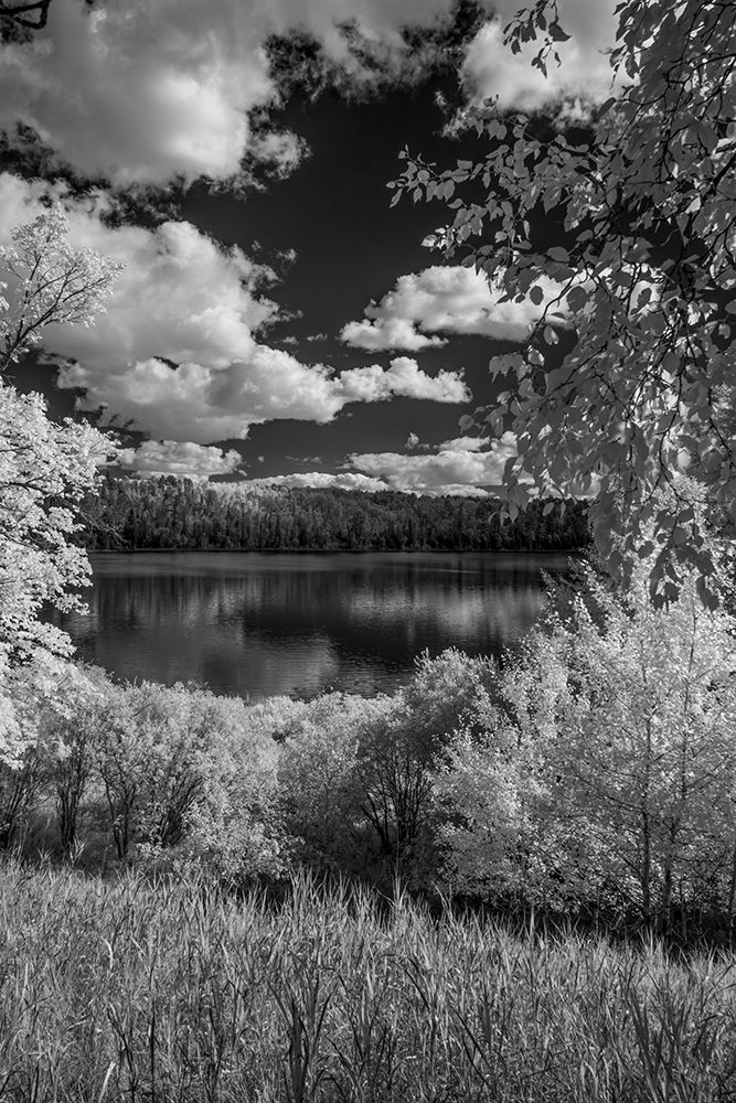 USA-Minnesota-La Salle State Recreation area art print by Peter Hawkins for $57.95 CAD