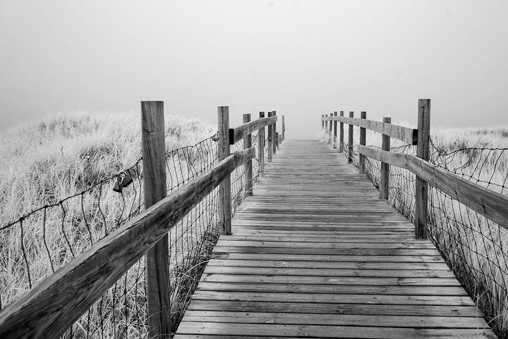 USA-Minnesota-Duluth-Park Point-Boardwalk over Dunes art print by Peter Hawkins for $57.95 CAD