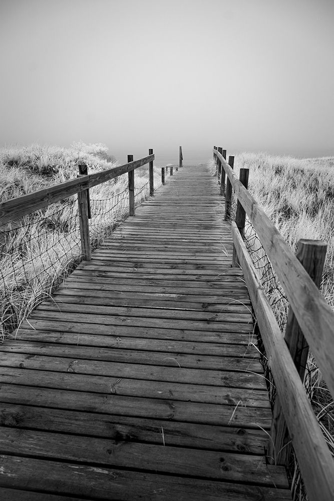 USA-Minnesota-Duluth-Park Point-Boardwalk over Dunes art print by Peter Hawkins for $57.95 CAD