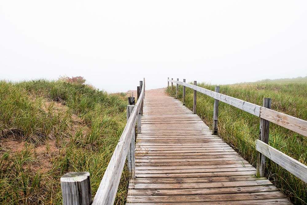 USA-Minnesota-Duluth-Park Point-Boardwalk over Dunes art print by Peter Hawkins for $57.95 CAD