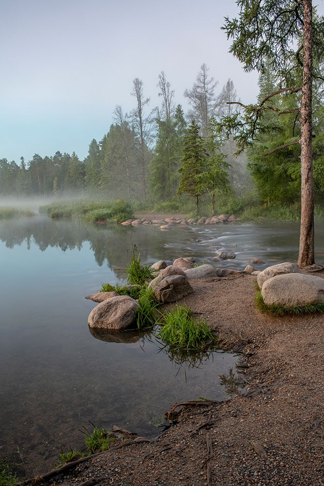 USA-Minnesota-Itasca State Park-Mississippi Headwaters art print by Peter Hawkins for $57.95 CAD