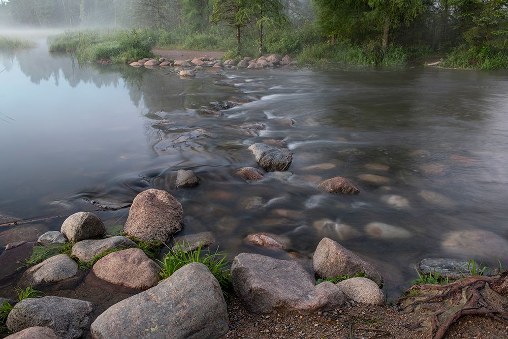USA-Minnesota-Itasca State Park-Mississippi Headwaters art print by Peter Hawkins for $57.95 CAD