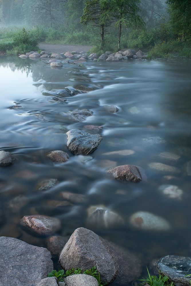 USA-Minnesota-Itasca State Park-Mississippi Headwaters art print by Peter Hawkins for $57.95 CAD