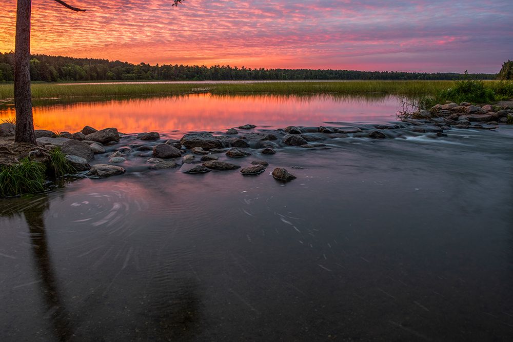 USA-Minnesota-Itasca State Park-Mississippi Headwaters art print by Peter Hawkins for $57.95 CAD