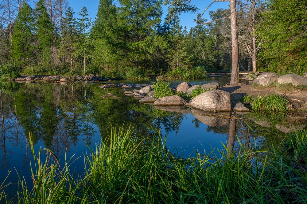 USA-Minnesota-Itasca State Park-Mississippi Headwaters art print by Peter Hawkins for $57.95 CAD