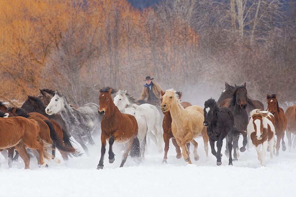 Cowboys during winter roundup-Kalispell-Montana art print by Adam Jones for $57.95 CAD