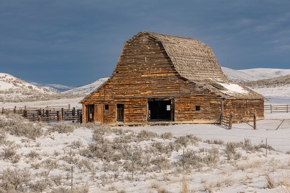 Barn in winter-Montana art print by Adam Jones for $57.95 CAD