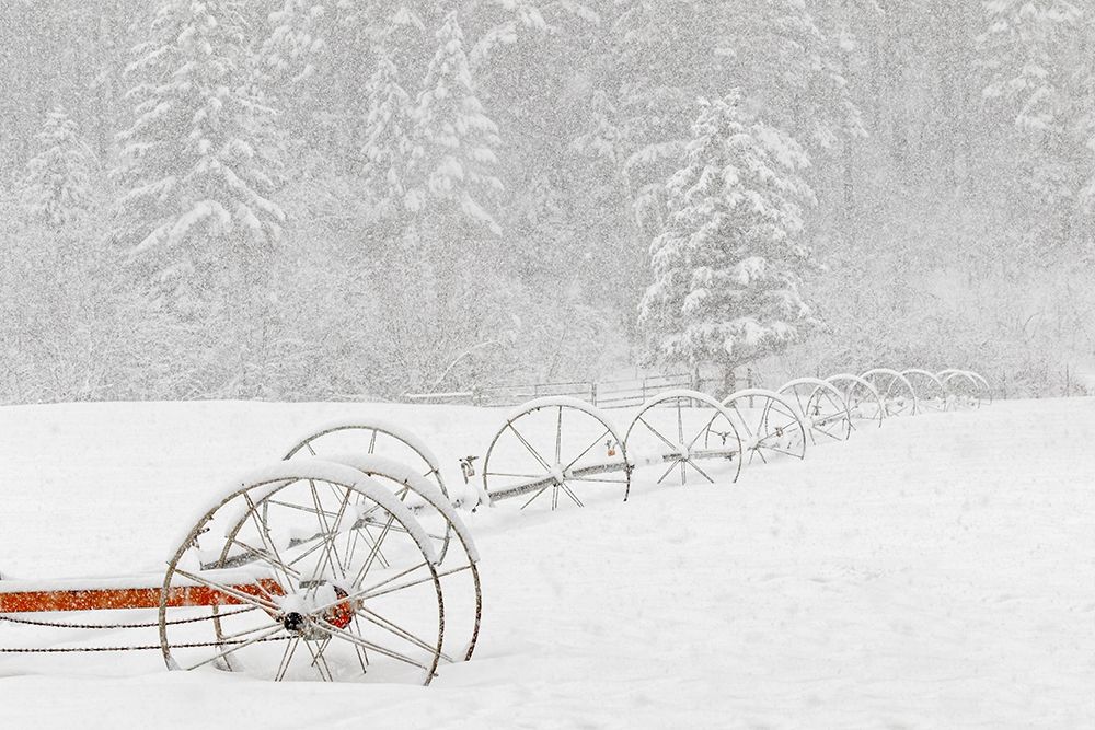 Irrigation sprinkler system in winter snowstorm-Kalispell-Montana art print by Adam Jones for $57.95 CAD