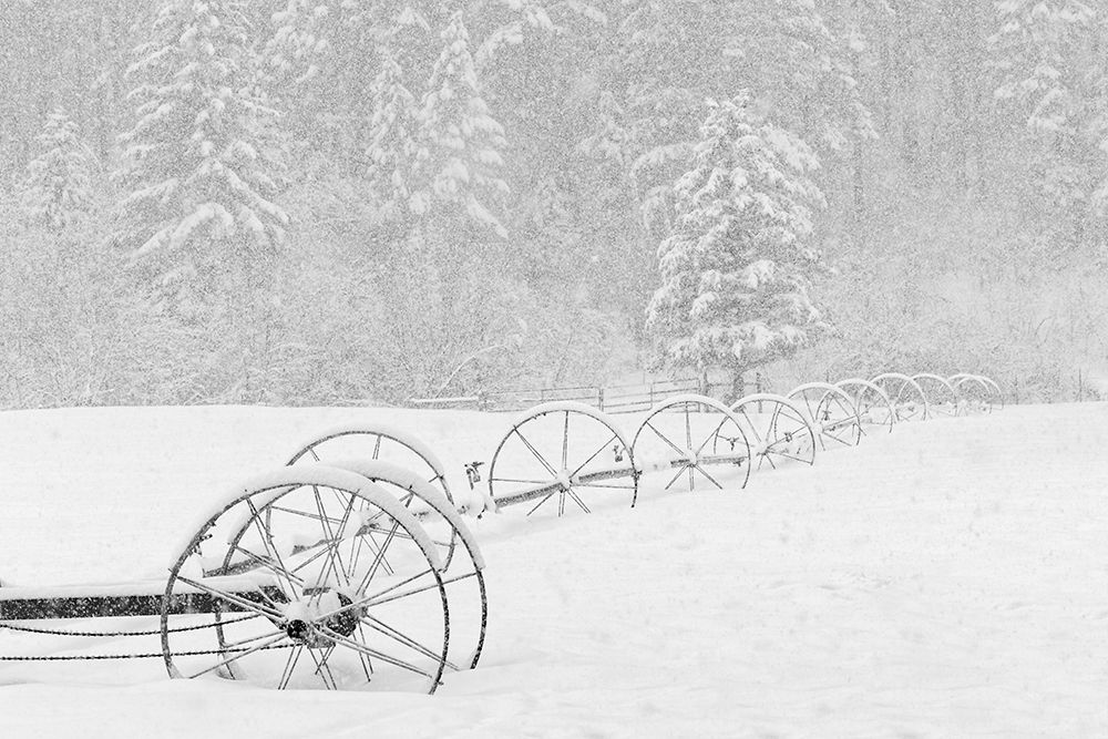 Irrigation sprinkler system in winter snowstorm-Kalispell-Montana art print by Adam Jones for $57.95 CAD