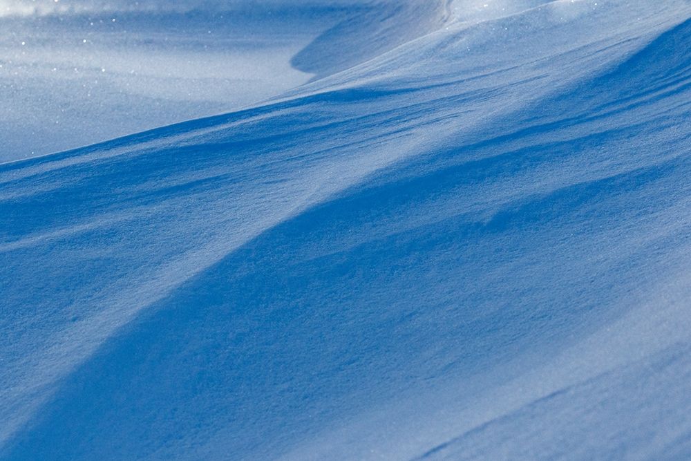 Snowdrift reflecting blue sky-Kalispell-Montana art print by Adam Jones for $57.95 CAD