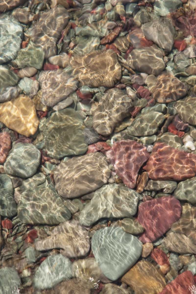 MT, Glacier NP Stones line shore on St Mary Lake art print by Don Grall for $57.95 CAD