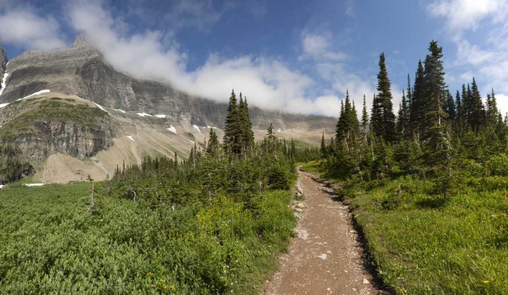 Montana, Glacier NP Hiking trail and landscape art print by Don Grall for $57.95 CAD