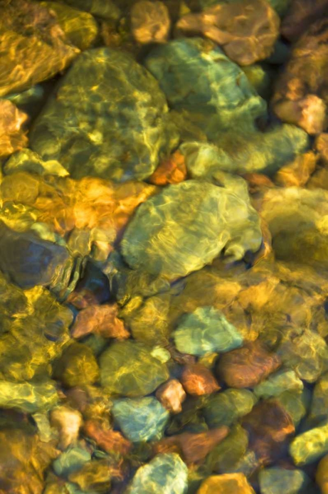 MT, Rattlesnake Wilderness Area Underwater rocks art print by Nancy Rotenberg for $57.95 CAD