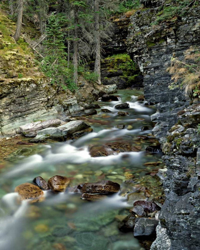 USA, Montana, Glacier NP Stream in Sunrift Gorge art print by Steve Terrill for $57.95 CAD