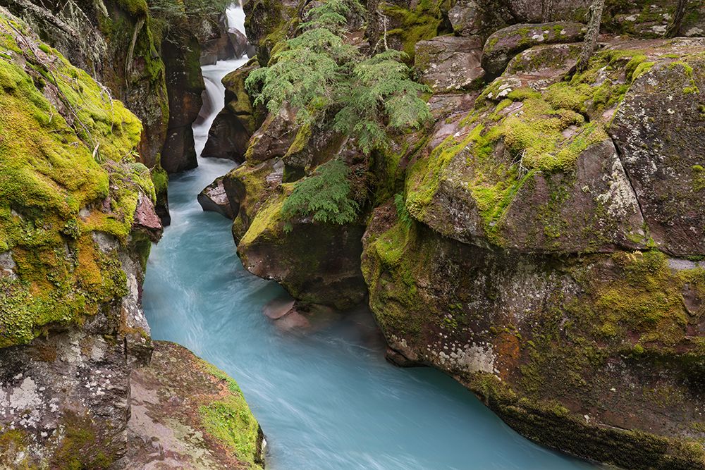 USA-Montana-Glacier National Park Glacial silt in Avalanche Creek flows through gorge art print by Jaynes Gallery for $57.95 CAD
