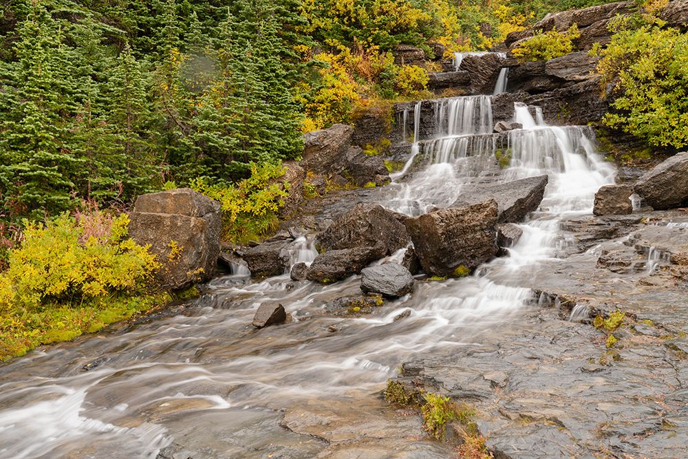 USA-Montana-Glacier National Park Lunch Creek cascades scenic art print by Jaynes Gallery for $57.95 CAD